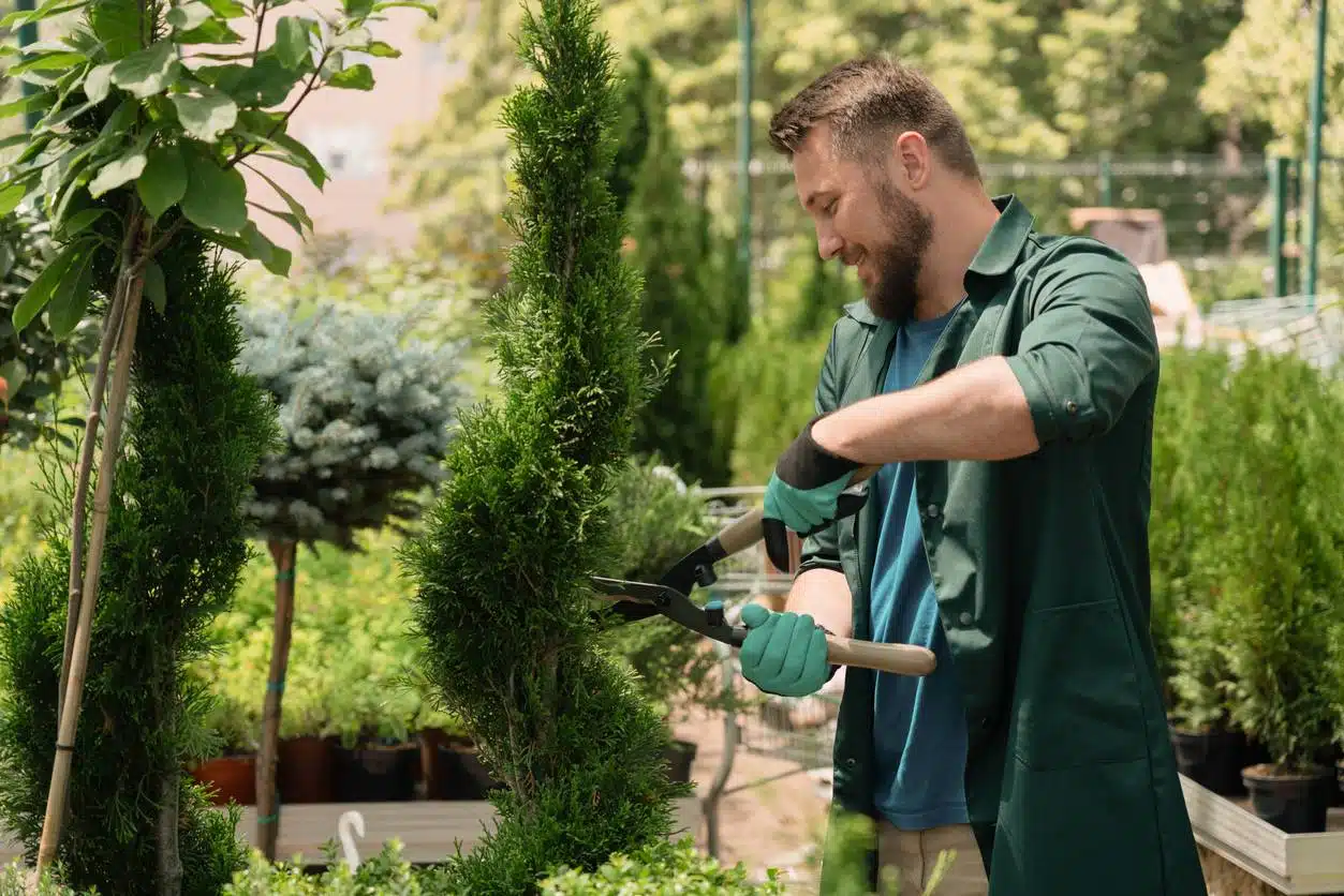 aménagement jardin, paysagiste à Nancy