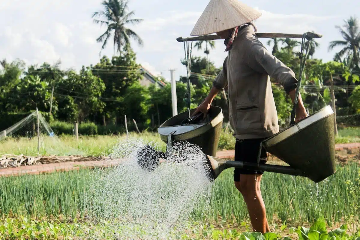 arrosage économique