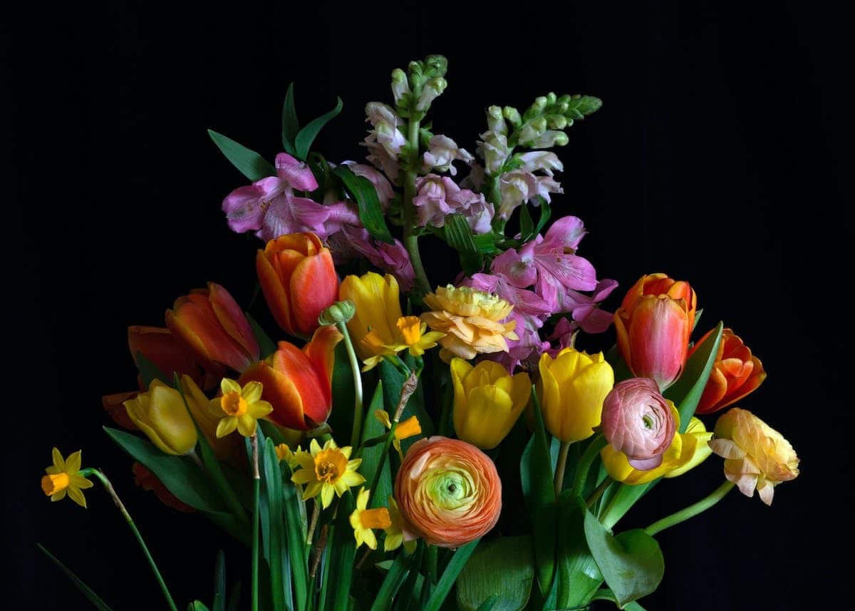 fleurs massifs