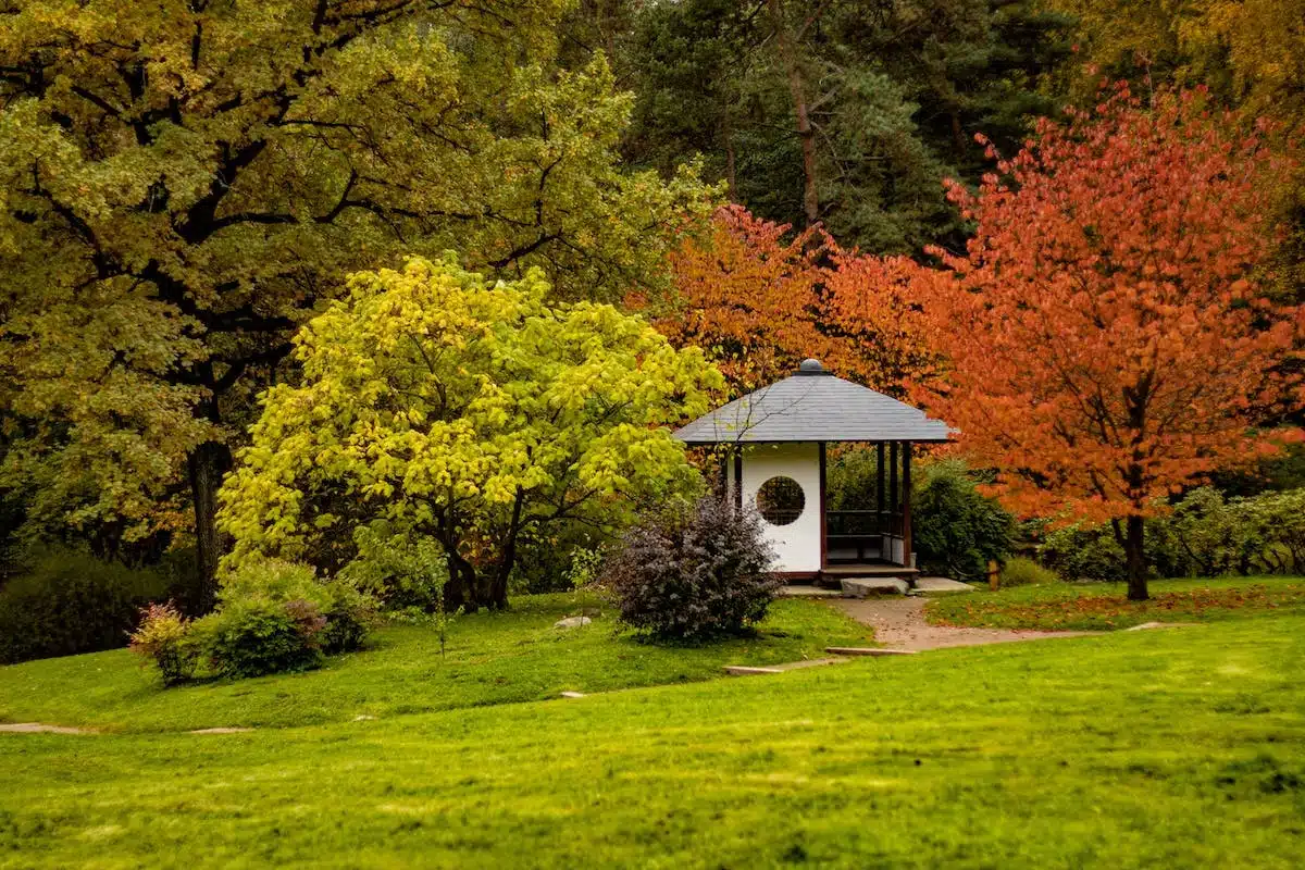 jardin automne