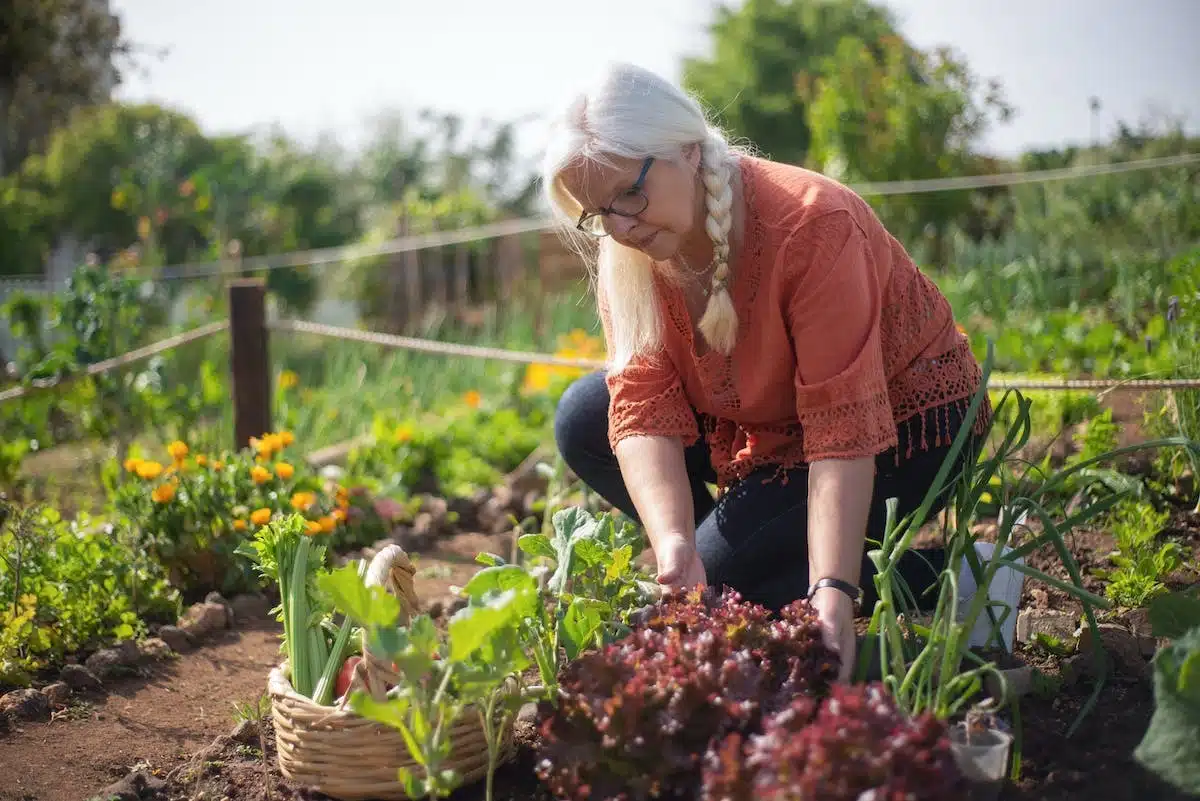 potager  biodiversité