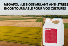 Megafol