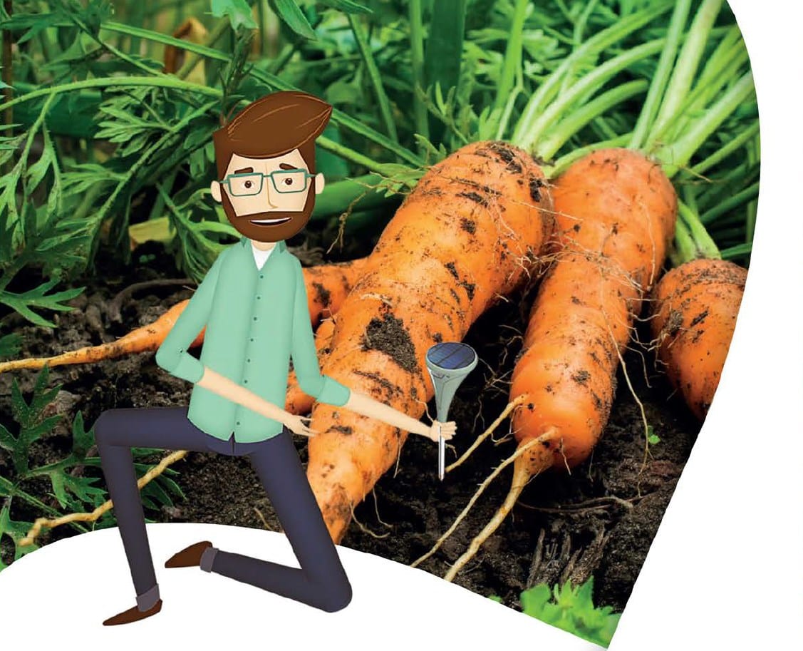 Capteur terre Vilmorin