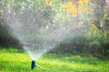 l'irrigation pour entretenir votre jardin