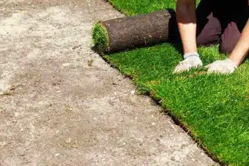 Comment choisir le gazon pour son jardin