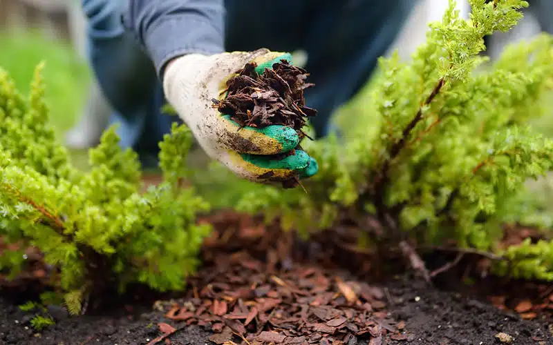 Les travaux d'automne au jardin ce qu'il faut faire