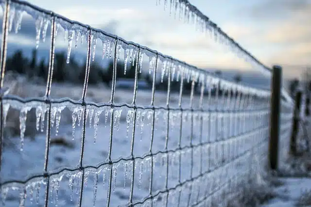 clôture gelée