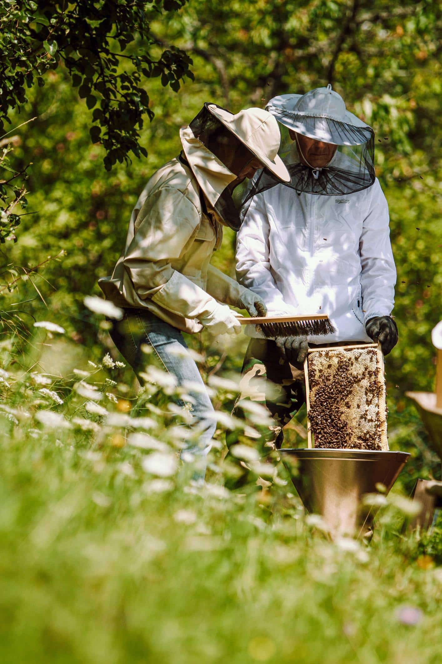 équipements apiculture