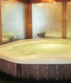 Comment acheter son spa moins cher ?