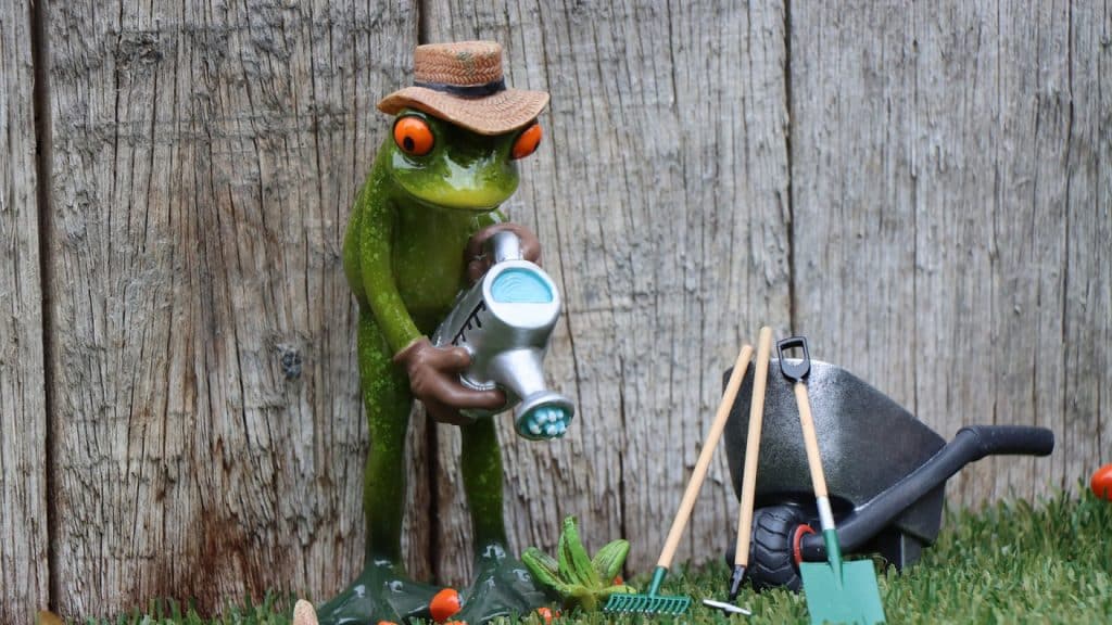 CREATION DE JARDINS A LA FRANCAISE