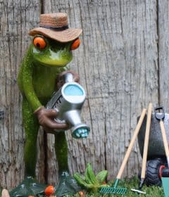 Comment créer un jardin à la française ?