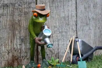 Comment créer un jardin à la française ?