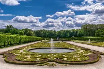 jardin