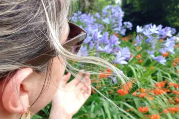 jardin entreprise