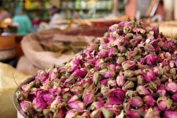 Fleurs roses