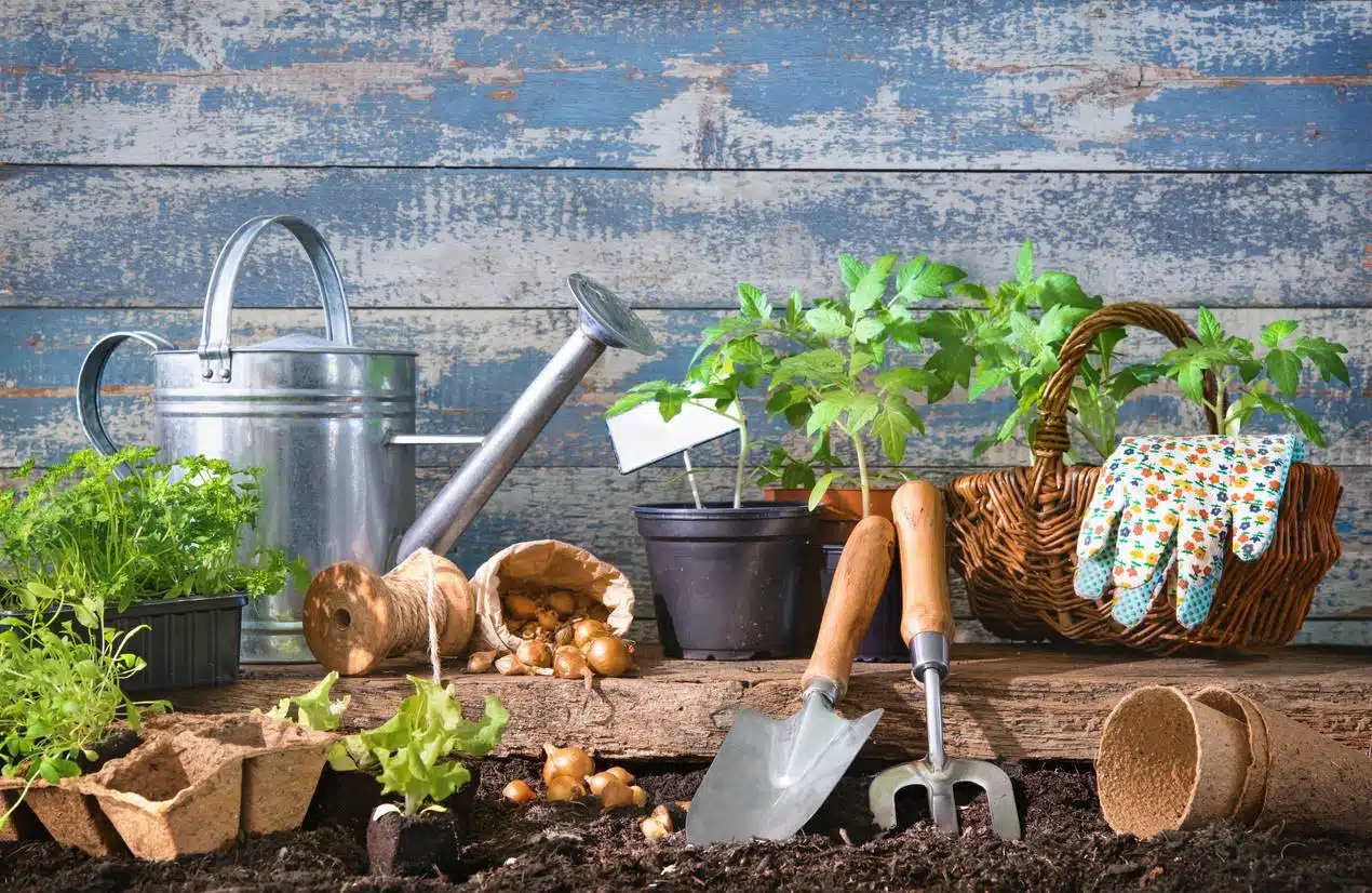 outils potager