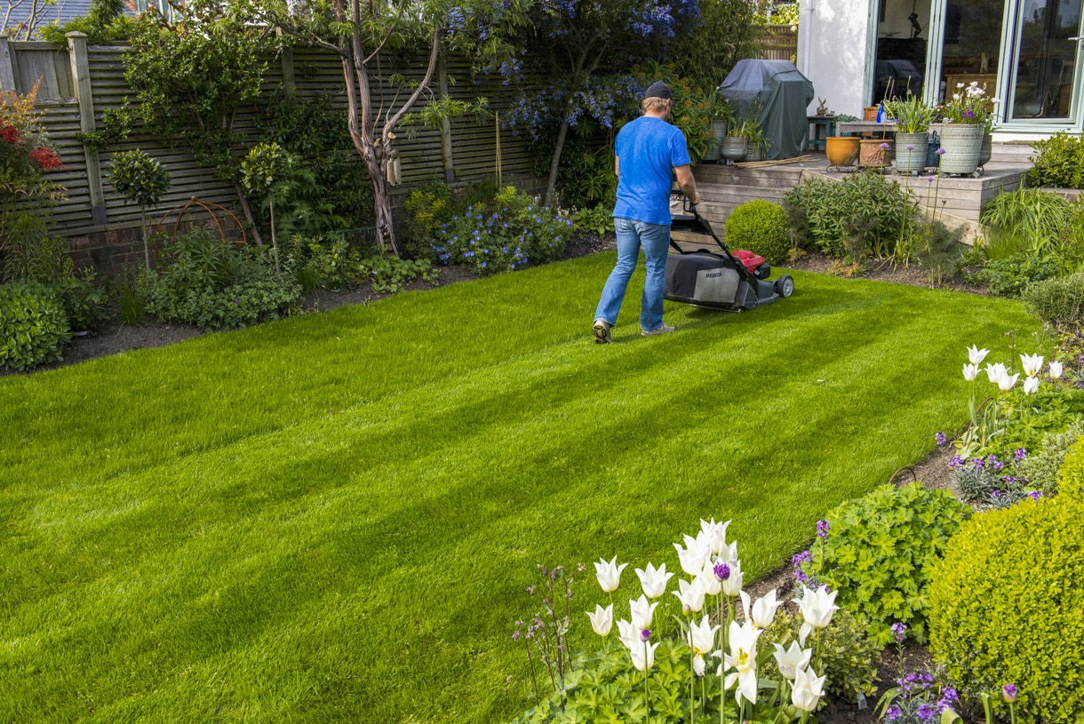 L\u0026#39;importance de la tonte, dans l\u2019entretien d\u0026#39;une pelouse