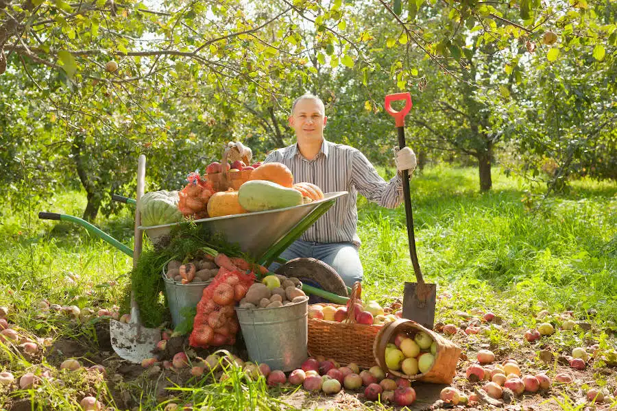 travaux d'automne au jardin ce qu'il faut faire