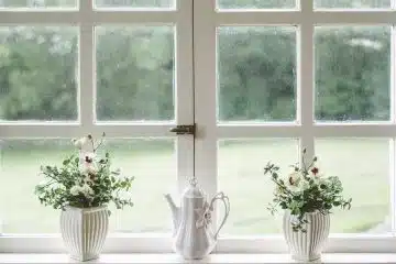 Un artisan professionnel pour de belles fenêtres